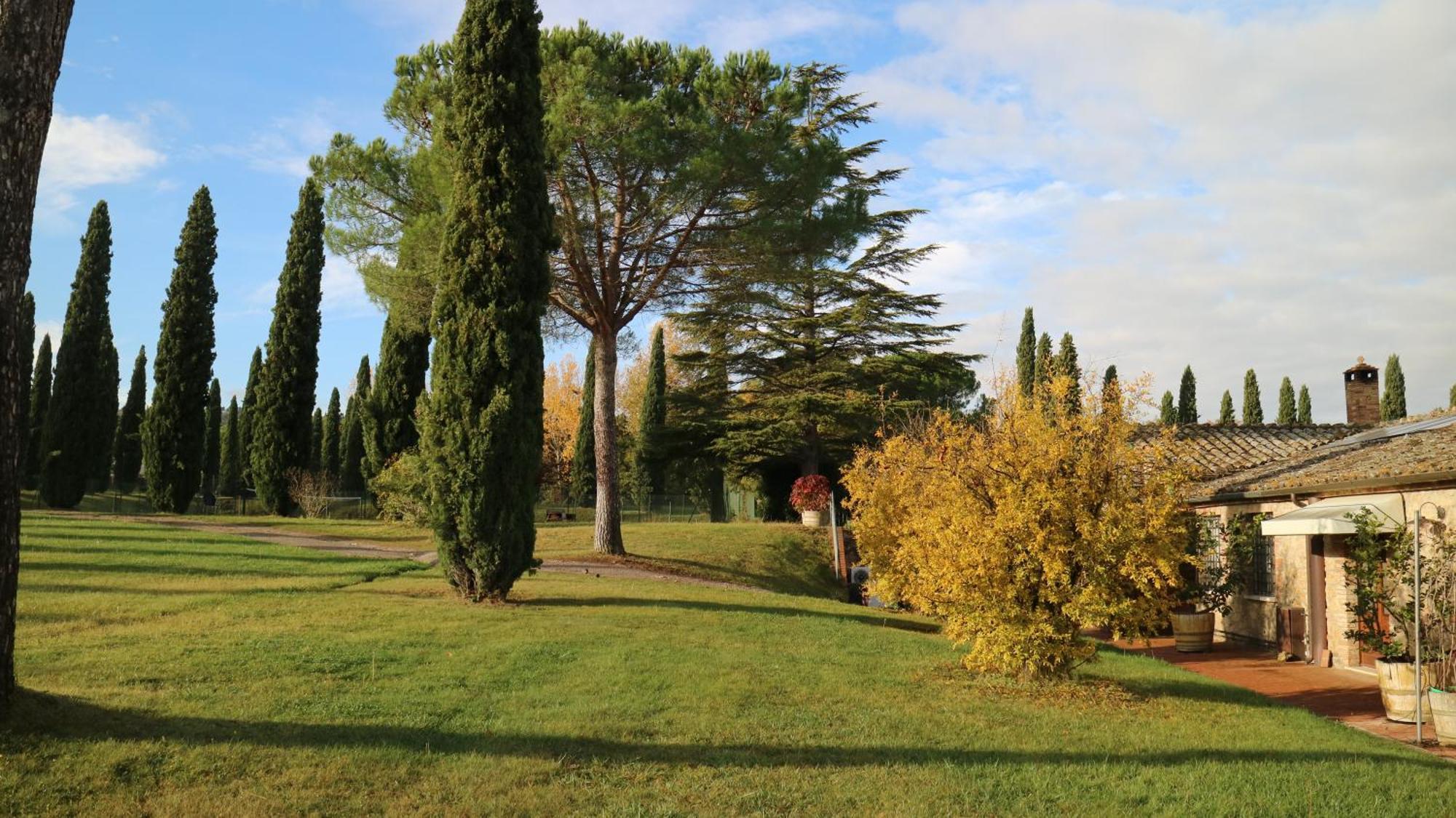Agriturismo La Sovana Sarteano Bagian luar foto
