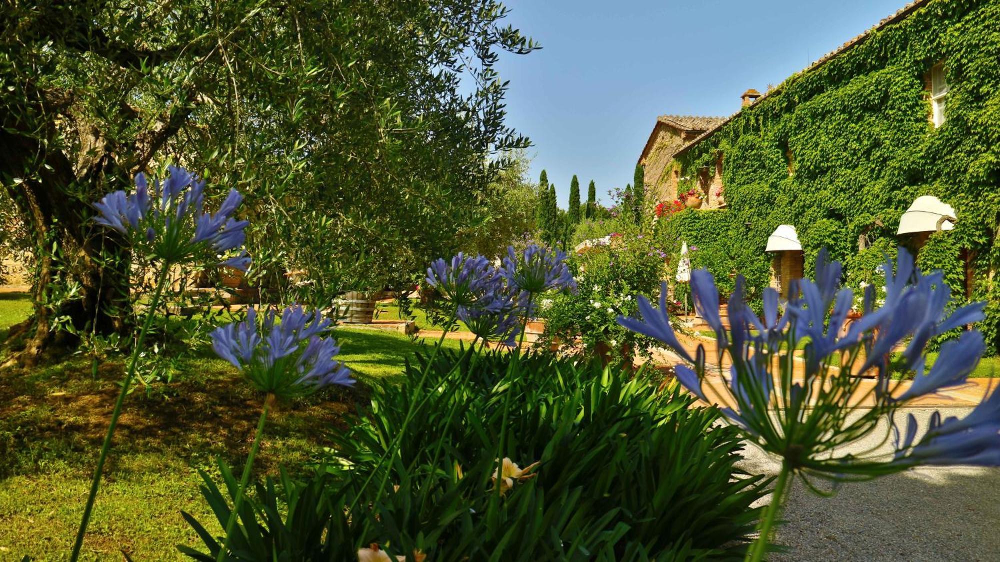 Agriturismo La Sovana Sarteano Bagian luar foto