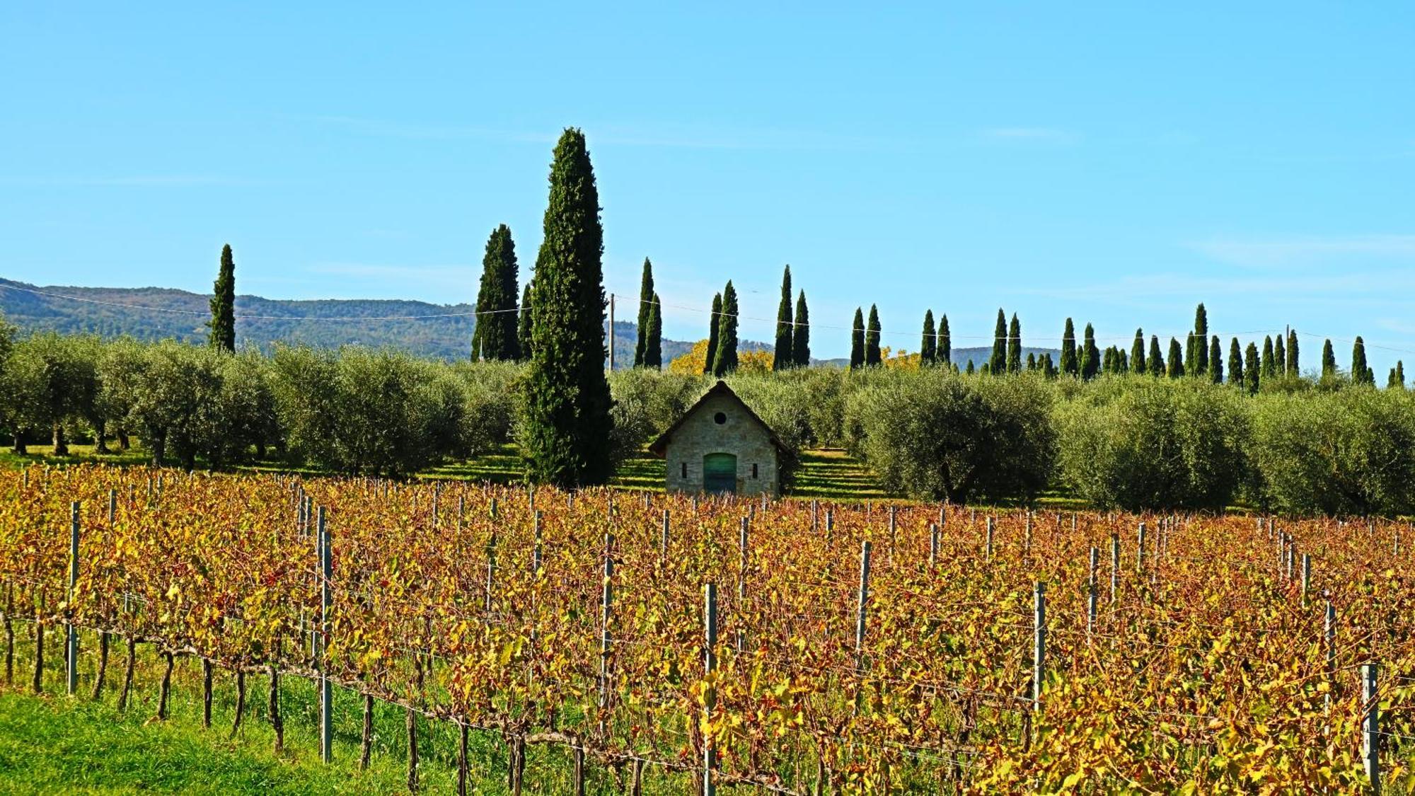 Agriturismo La Sovana Sarteano Bagian luar foto