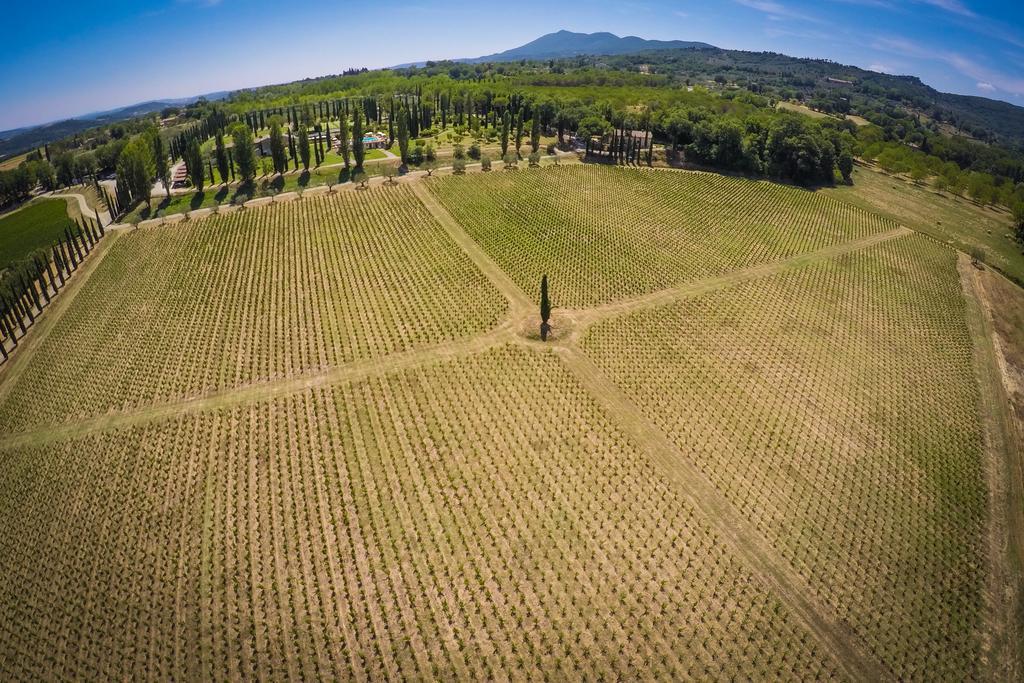Agriturismo La Sovana Sarteano Bagian luar foto
